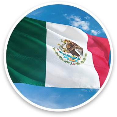 Mexico Flag Icon